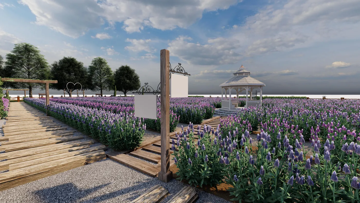 Lavanta bahçesi peyzaj tasarımı